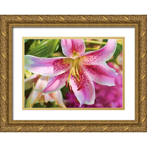 Pink Stargazer Lily Flower Gold Ornate Wood Framed Art Print with Double Matting by Schell, Jennie Marie