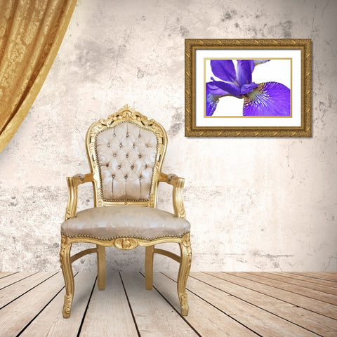 Purple Japanese Iris Flower Gold Ornate Wood Framed Art Print with Double Matting by Schell, Jennie Marie
