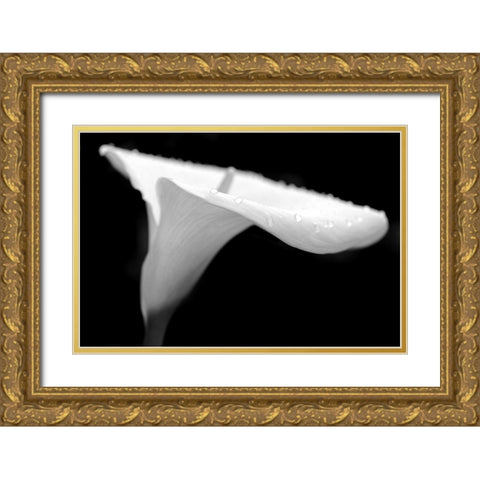 Calla Lily Flower Black and White 2 Gold Ornate Wood Framed Art Print with Double Matting by Schell, Jennie Marie
