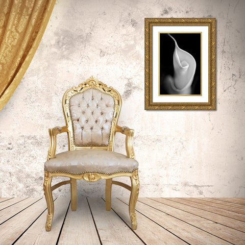 Calla Lily Flower Macro Black and White Gold Ornate Wood Framed Art Print with Double Matting by Schell, Jennie Marie