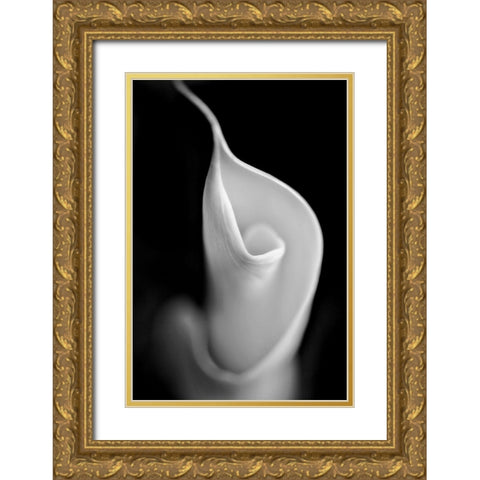 Calla Lily Flower Macro Black and White Gold Ornate Wood Framed Art Print with Double Matting by Schell, Jennie Marie