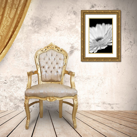 Daisy Flower Macro Black and White 2 Gold Ornate Wood Framed Art Print with Double Matting by Schell, Jennie Marie