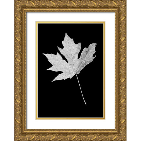 Leaf Black and White 1 Gold Ornate Wood Framed Art Print with Double Matting by Schell, Jennie Marie