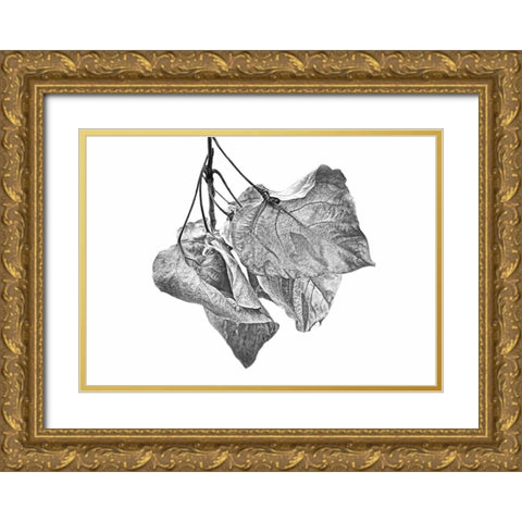 Leaves Dried Black and White Gold Ornate Wood Framed Art Print with Double Matting by Schell, Jennie Marie