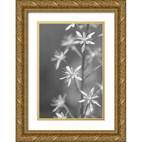 Little Wildflowers Macro Black and White Gold Ornate Wood Framed Art Print with Double Matting by Schell, Jennie Marie
