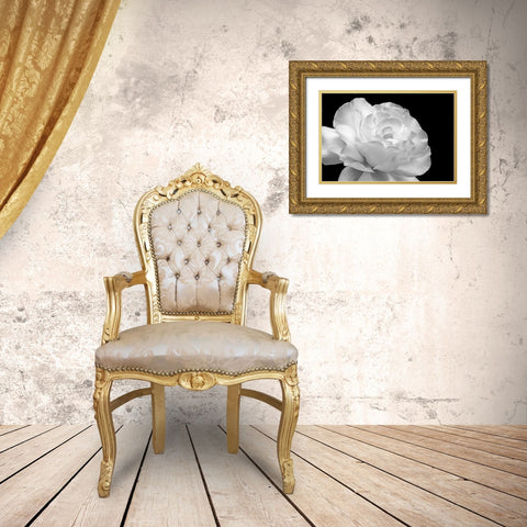 Rose Flower Macro Black and White 1 Gold Ornate Wood Framed Art Print with Double Matting by Schell, Jennie Marie
