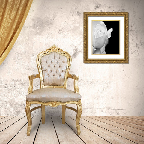 Rose Flower Macro Black and White 2 Gold Ornate Wood Framed Art Print with Double Matting by Schell, Jennie Marie
