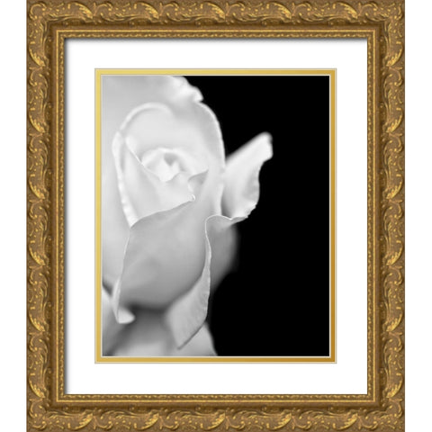 Rose Flower Macro Black and White 2 Gold Ornate Wood Framed Art Print with Double Matting by Schell, Jennie Marie