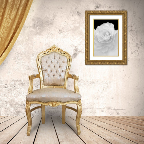 Rose Flower Macro Black and White 4 Gold Ornate Wood Framed Art Print with Double Matting by Schell, Jennie Marie