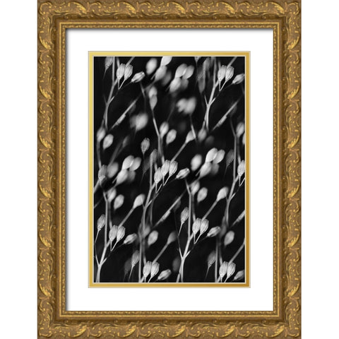 Seed Pods Abstract Black and White Gold Ornate Wood Framed Art Print with Double Matting by Schell, Jennie Marie