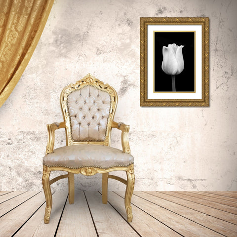 Tulip Flower Macro Black and White 1 Gold Ornate Wood Framed Art Print with Double Matting by Schell, Jennie Marie