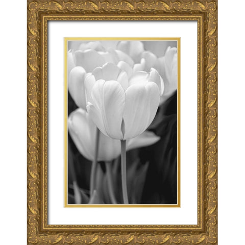 Tulip Flowers Black and White 2 Gold Ornate Wood Framed Art Print with Double Matting by Schell, Jennie Marie