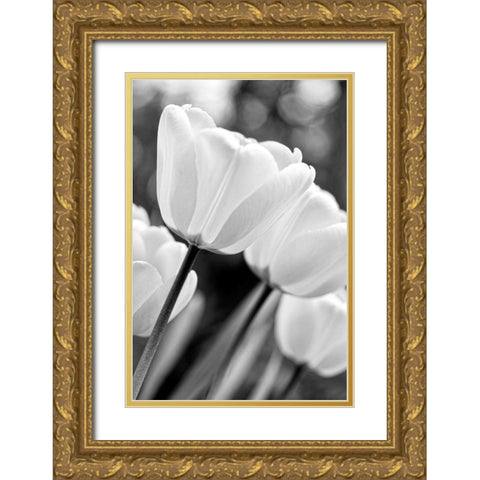Tulip Flowers Black and White 3 Gold Ornate Wood Framed Art Print with Double Matting by Schell, Jennie Marie