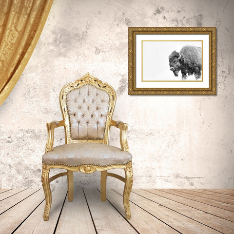 Buffalo Bison Black and White Gold Ornate Wood Framed Art Print with Double Matting by Schell, Jennie Marie
