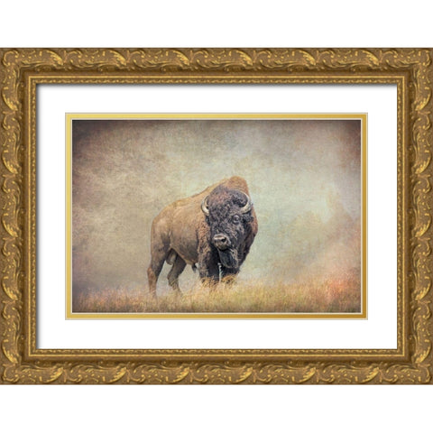 Buffalo Bison on Hill Gold Ornate Wood Framed Art Print with Double Matting by Schell, Jennie Marie