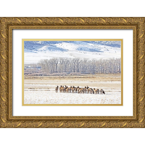Elk Herd in Winter Landscape Gold Ornate Wood Framed Art Print with Double Matting by Schell, Jennie Marie