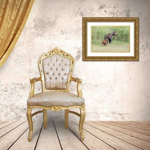 Moose and Baby Calf Gold Ornate Wood Framed Art Print with Double Matting by Schell, Jennie Marie