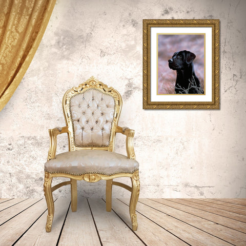 Js75-B Gold Ornate Wood Framed Art Print with Double Matting by Silver, John