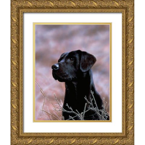 Js75-B Gold Ornate Wood Framed Art Print with Double Matting by Silver, John
