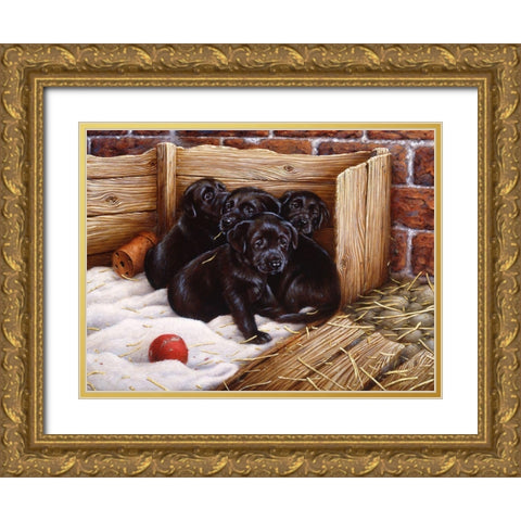 Js67-A Gold Ornate Wood Framed Art Print with Double Matting by Silver, John