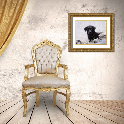 Js64-A Gold Ornate Wood Framed Art Print with Double Matting by Silver, John