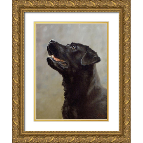 D072b Gold Ornate Wood Framed Art Print with Double Matting by Silver, John