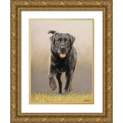 234 Gold Ornate Wood Framed Art Print with Double Matting by Silver, John