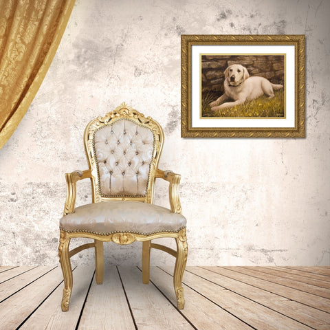 320 Gold Ornate Wood Framed Art Print with Double Matting by Silver, John