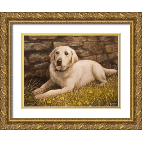 320 Gold Ornate Wood Framed Art Print with Double Matting by Silver, John