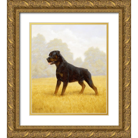 Jsm35-B Gold Ornate Wood Framed Art Print with Double Matting by Silver, John