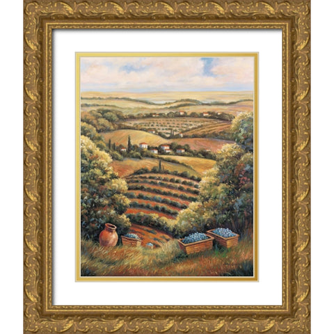 Valley C Gold Ornate Wood Framed Art Print with Double Matting by Zaccheo, John