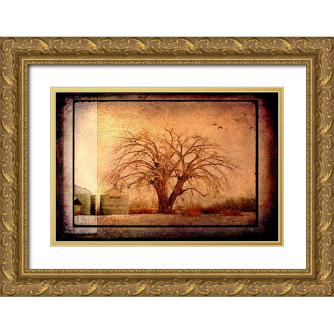 For the Love of Trees IV Gold Ornate Wood Framed Art Print with Double Matting by LightBoxJournal