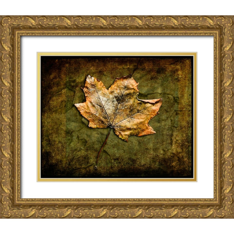 Metallic Leaf 1 Gold Ornate Wood Framed Art Print with Double Matting by LightBoxJournal