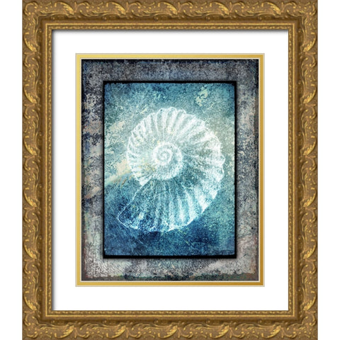 Hello Beach Shell I Gold Ornate Wood Framed Art Print with Double Matting by LightBoxJournal