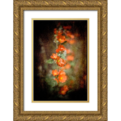 Desert Flower 5 Gold Ornate Wood Framed Art Print with Double Matting by LightBoxJournal