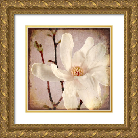 Paper Magnolia Closeup Gold Ornate Wood Framed Art Print with Double Matting by LightBoxJournal