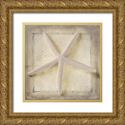 Starfish Gold Ornate Wood Framed Art Print with Double Matting by LightBoxJournal