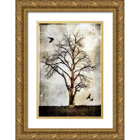 Cottonwood Tree Part 02 Gold Ornate Wood Framed Art Print with Double Matting by LightBoxJournal