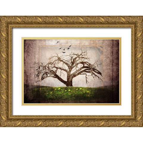 Cottonwood Tree Part 03 Gold Ornate Wood Framed Art Print with Double Matting by LightBoxJournal