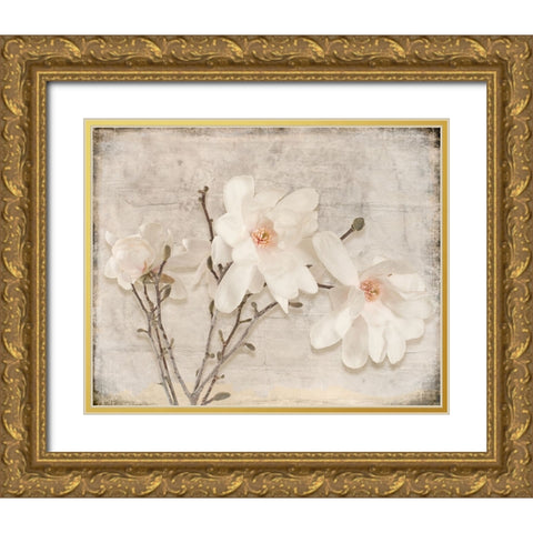 Spring Magnolia Gold Ornate Wood Framed Art Print with Double Matting by LightBoxJournal