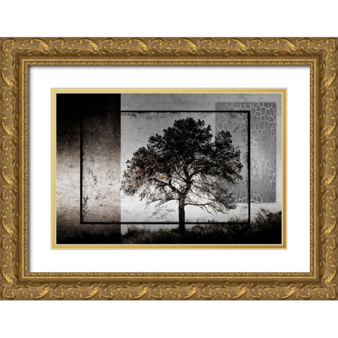 July Tree Gold Ornate Wood Framed Art Print with Double Matting by LightBoxJournal