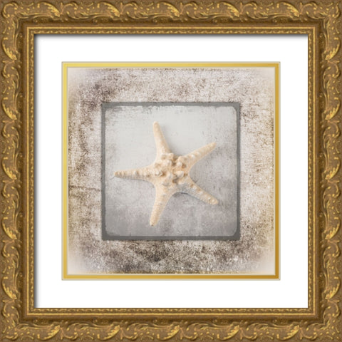 Stone Star 2 Gold Ornate Wood Framed Art Print with Double Matting by LightBoxJournal