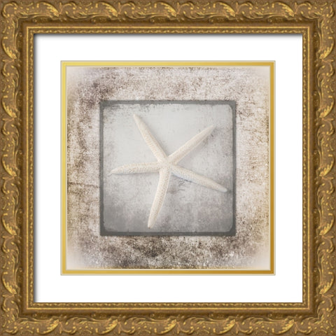 Stone Star 3 Gold Ornate Wood Framed Art Print with Double Matting by LightBoxJournal