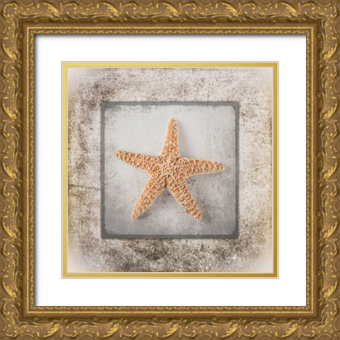 Stone Star Gold Ornate Wood Framed Art Print with Double Matting by LightBoxJournal