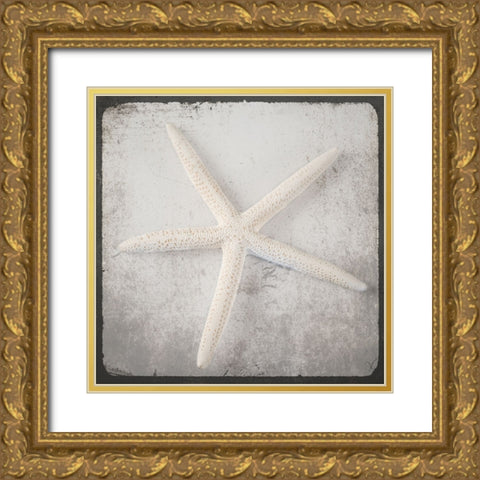 Vintage Natuical Set 2 Gold Ornate Wood Framed Art Print with Double Matting by LightBoxJournal