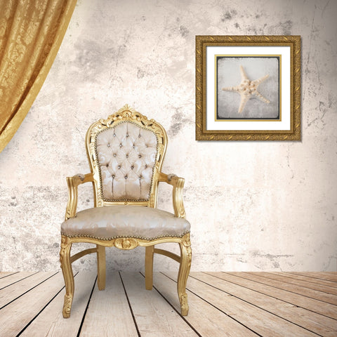 Vintage Natuical Set Gold Ornate Wood Framed Art Print with Double Matting by LightBoxJournal
