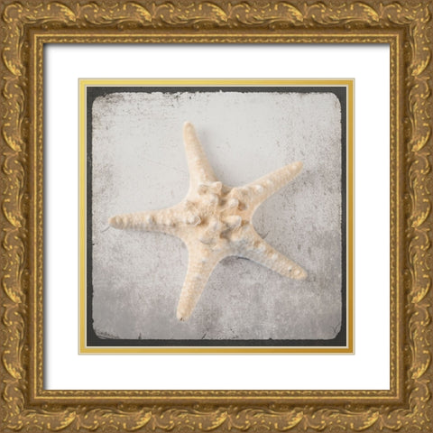 Vintage Natuical Set Gold Ornate Wood Framed Art Print with Double Matting by LightBoxJournal