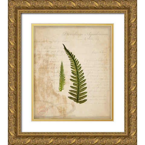 Scientific Plant 5 Gold Ornate Wood Framed Art Print with Double Matting by LightBoxJournal