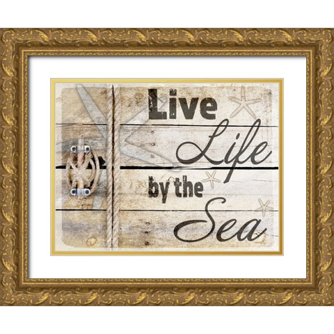 Country Sea Sign 3 Gold Ornate Wood Framed Art Print with Double Matting by LightBoxJournal