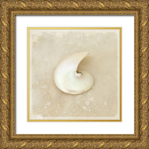 Gypsy Sea Brown 2 Gold Ornate Wood Framed Art Print with Double Matting by LightBoxJournal